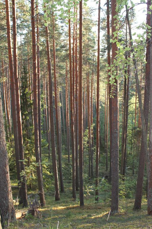 Hotel Kruunupuisto Punkaharju Luaran gambar
