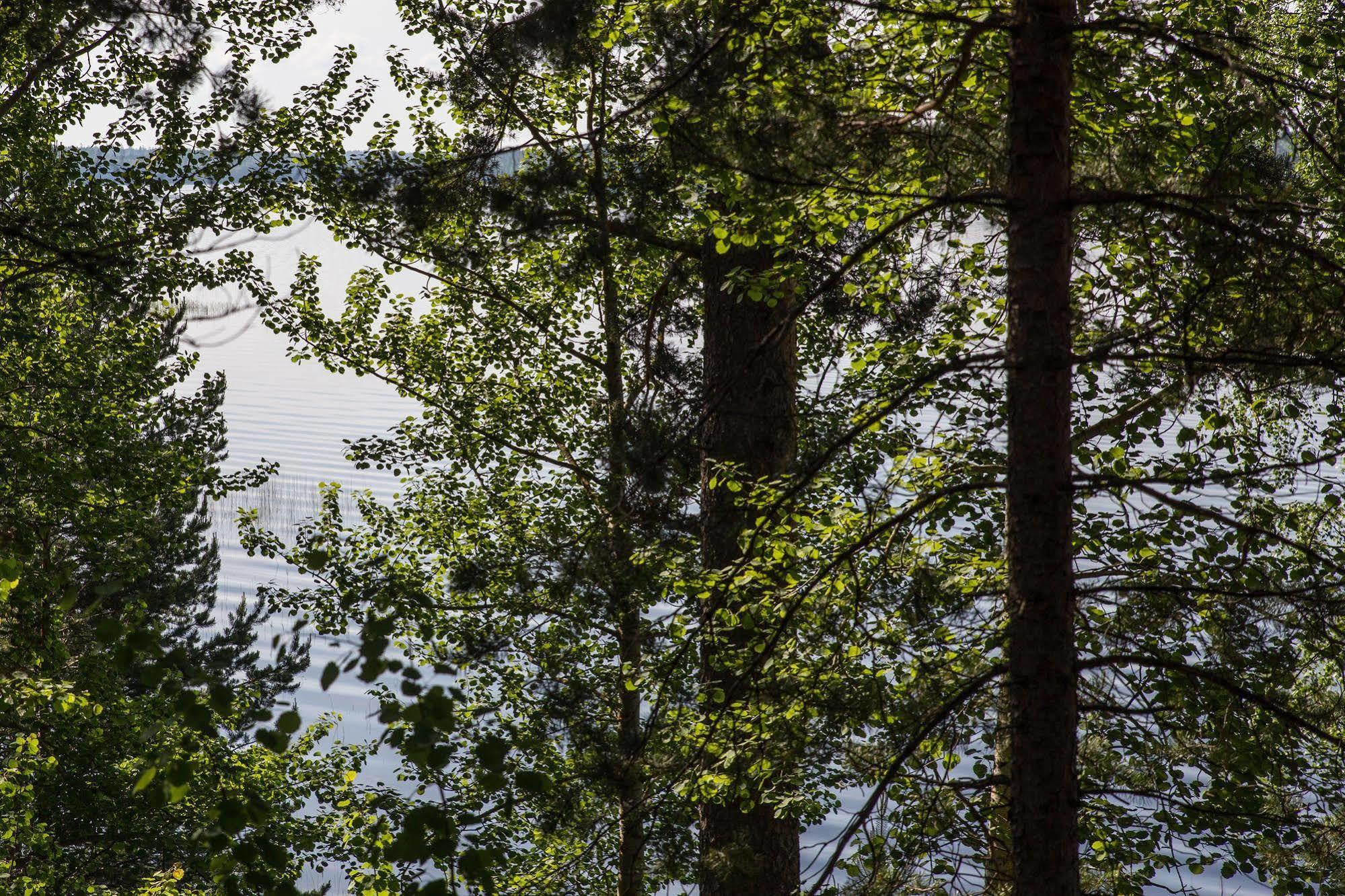 Hotel Kruunupuisto Punkaharju Luaran gambar